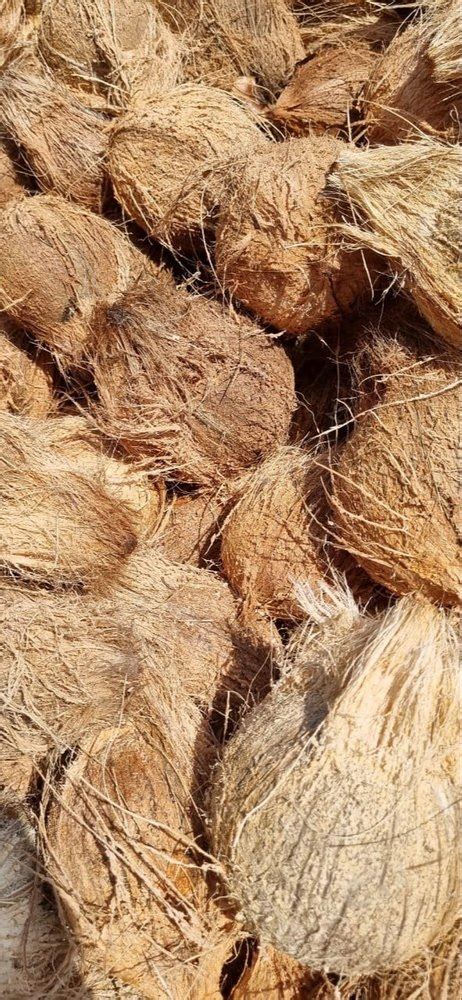 B Grade Whole Semi Husked Coconut Coconut Size Medium At Rs Kg In