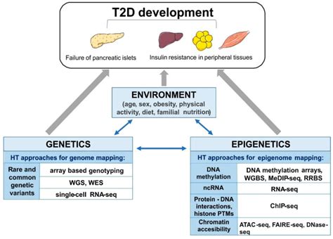 High Throughput Approaches Onto Uncover Epi Genomic Architecture Of