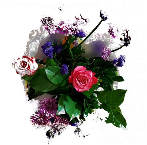 bouquet  flowers  stock photo public domain pictures
