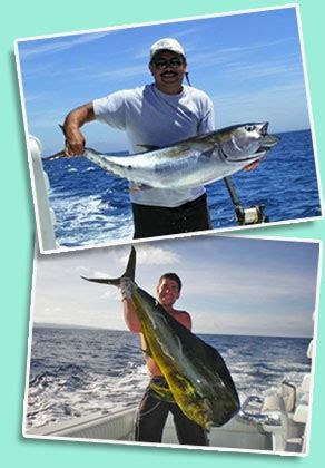 Cabo Fishing - Sportfishing Charters in Cabo San Lucas | Fishing trip ...