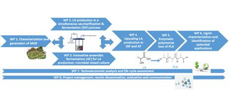 Explorando Nuevas V As De Producci N Sostenible De Biopl Sticos