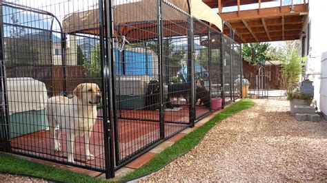 Galvanised Cute Indoor Dog Cages And Large Outdoor Kennels Buy