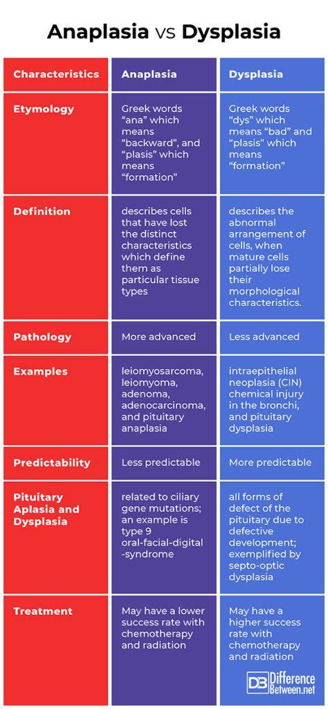 Difference Between Anaplasia And Dysplasia