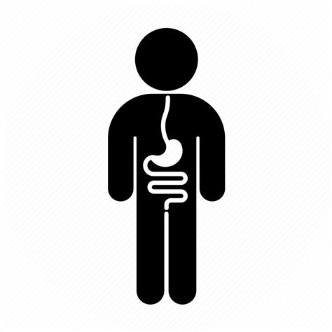 Gastroenterology Intestines Medicine Person Stomach Icon Download