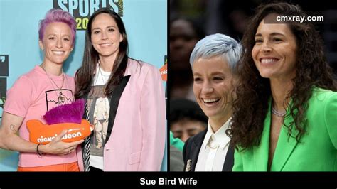 Sue Bird Wife, What Is The Career And Personal Life Of Sue Bird Wife ...