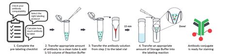 Mix N Stain Cf Dye Antibody Labeling Kits Biotium