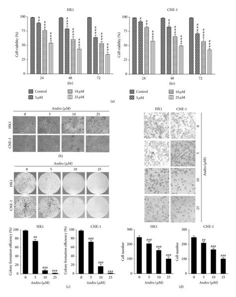 Andro Inhibited The Proliferation And Invasion Of Different Npc Cell Download Scientific