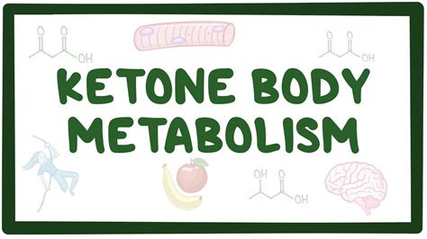 Bio Lipid Metabolism Ketone Bodies Youtube