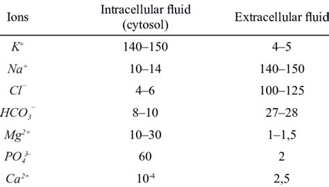 Estimated Concentration Of Ions In The Intracellular And Extracellular