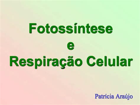 PPT Fotoss Ntese E Respira O Celular PowerPoint Presentation Free