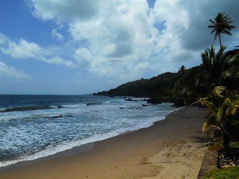 Beach near Matelot, Trinidad | Trinidad, Beaches in the world, Beach