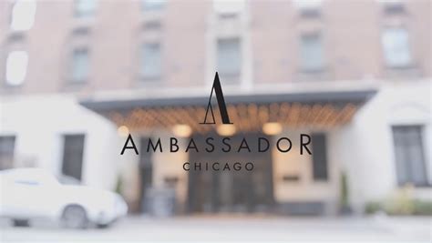 Suites in Downtown Chicago | Ambassador Chicago