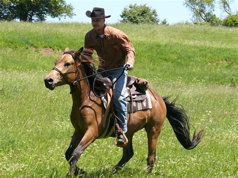 Junge Asiatin Will Einen Cowboy Reiten Telegraph