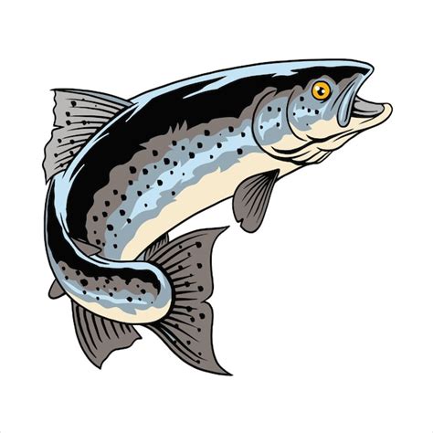 Premium Vector Vector Illustration Of Steelhead Trout Fish With