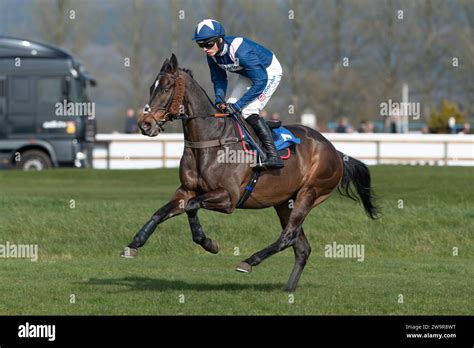 Birds Of Prey Ridden By Harry Cobden Hi Res Stock Photography And