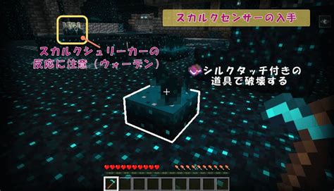 【マイクラ】スカルクセンサーと調律されたスカルクセンサーの入手方法や使い方と装置を解説！【統合版java版】 マイクラ攻略まとめ