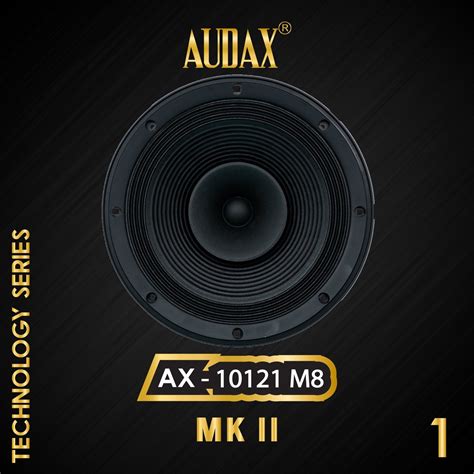 Jual Audax Speaker Pasif 10 AX 10121 M8 Full Range Technology Series