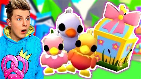 NEW DUCK BOX LEAKS In Adopt Me Springfest Update Prezley YouTube