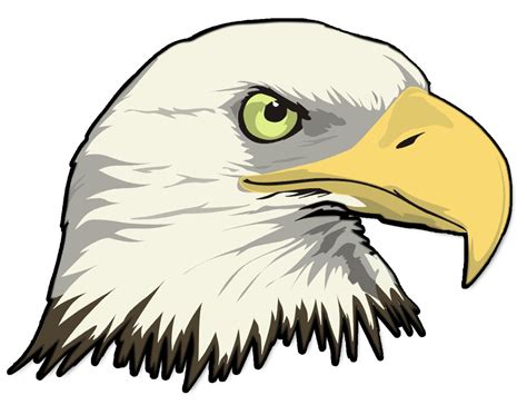 Simple Bald Eagle Drawing at GetDrawings | Free download