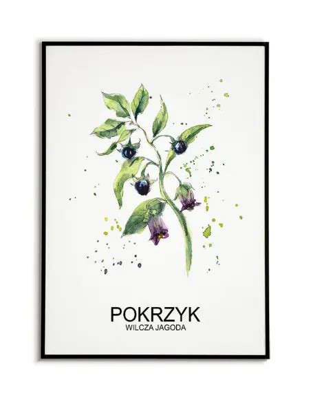 Plakat Zio A Pokrzyk Grafika Do Kuchni Bajkoweobrazki Pl