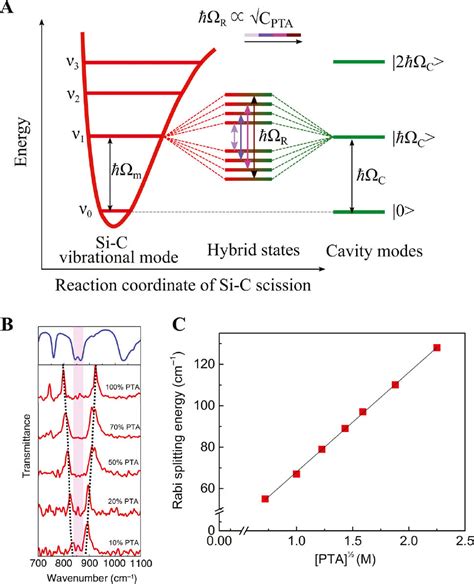 Ground State Chemistry Under Vibrational Strong Coupling Dependence Of