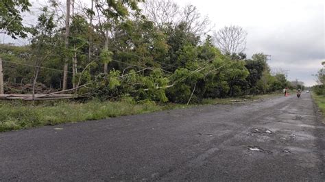 Granizada Y Lluvias Dejan Afectaciones En 16 Municipios NV Noticias