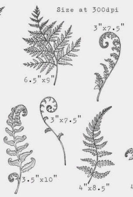 fern tattoo idea in 2024 | Fern tattoo, Line tattoos, Leaf tattoos