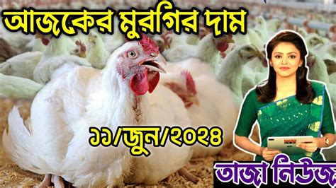 11 June 2024 আজকের ব্রয়লার ও সোনালী মুরগির পাইকারি দাম জানুন