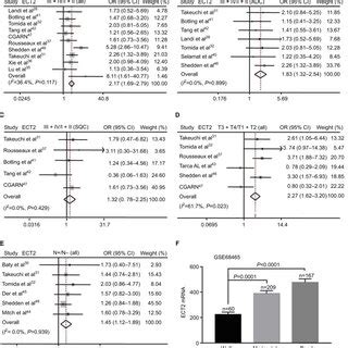 Overexpression Of Ect Protein Predicted Poor Survival Notes