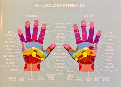 Pin By PlantEmpoweredLife Nickie Rob On Reflexology Essential Oil