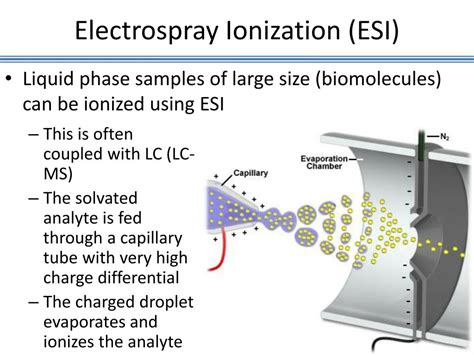 PPT - Mass Spectrometry Ionization Techniques PowerPoint Presentation ...