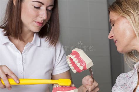 O Dentista Explica A Limpeza Dos Dentes Foto De Stock Imagem De