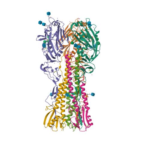 Rcsb Pdb Jpd Crystal Structure Of The Trimeric Full Length Mature