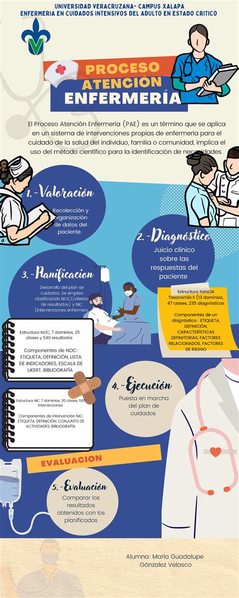 Infografia Proceso De Atencion De Enfermeria EVALUACION PROCESO