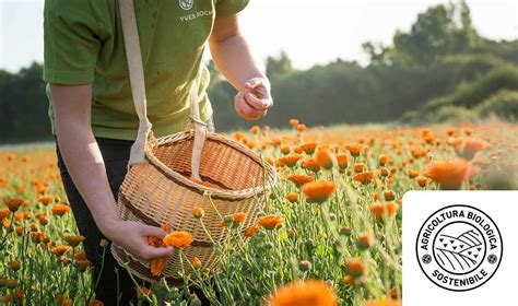 UNAGRICOLTURA DALLIMPATTO AMBIENTALE POSITIVO Yves Rocher