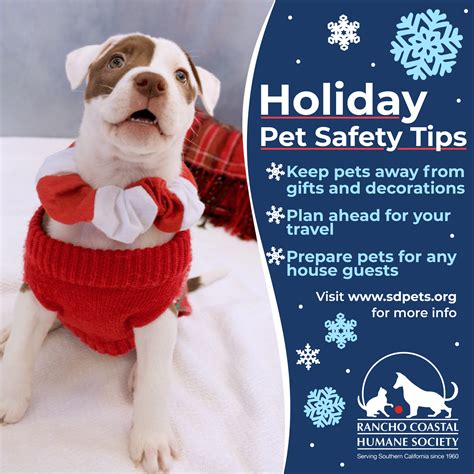 Holiday Pet Safety Tips Rancho Coastal Humane Society