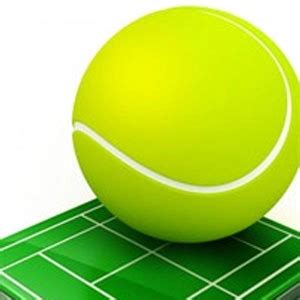 Buy Grand Slam Tennis Open Cd Key Compare Prices