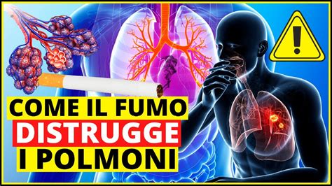 Effetti Del Fumo Sui Polmoni Come Il Fumo Danneggia I Polmoni E L