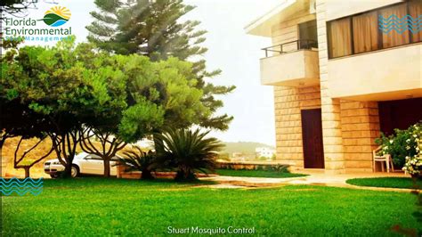 Exploring Stuart Beach in Stuart, FL - Florida Environmental Pest Control