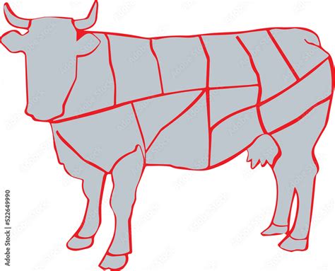 Cow And Cut Of Beef Or Beef Chart Diagram Of Different Parts Of A Cow