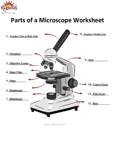 Fillable Online Parts-of-a-Microscope-worksheet-labeled.docx Fax Email ...