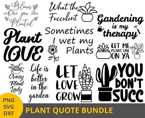 Plant Svg Bundle Funny Plant Quote Svg Garden Saying Svg Etsy