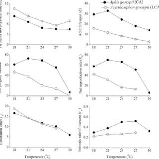 Comparison of life-table parameters of Aphis gossypii and Acyrthosiphon ...