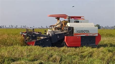 Combine Harvester Kubota DC 70 Harvesting Rice Agriculture Machine In