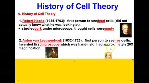 History Of Cell Theory YouTube