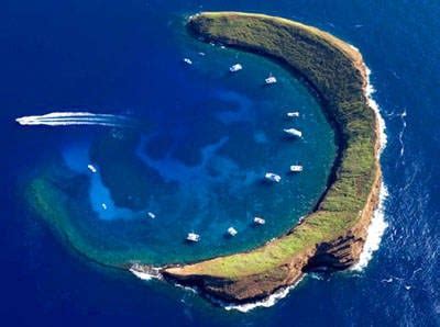 Snorkeling at Molokini Crater - Four Winds Maui Snorkeling