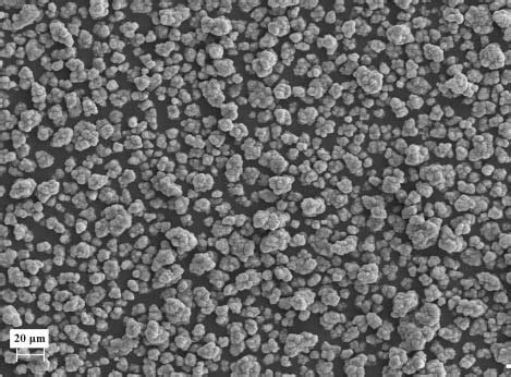 particle size distributions zetasizer nano zs    sem