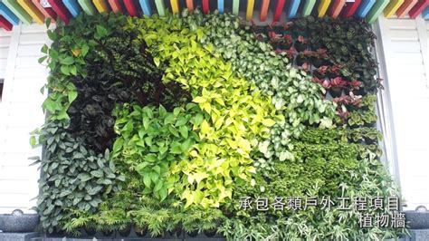 香港 九龍 新界 園藝用品工具種植公司推介 户外木户外用品公司推介，花園盆景園景綠化公司推介，花卉肥料種子盆栽公司推介，綠色家居生活佈置公司推介 Youtube
