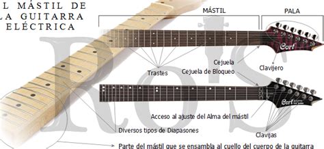 Secciones del mástil de la guitarra en 2023