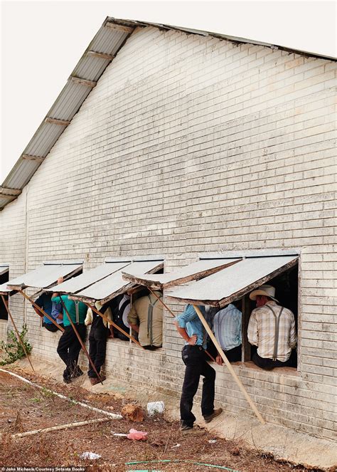 Photos Capture Mennonite Communities Who Fled To Belize In The 1950s